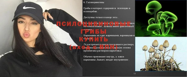 Альфа ПВП Алзамай