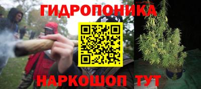 каннабис Заволжье