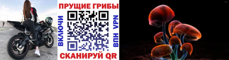 купить сайты Нарткала Галлюциногенные грибы Magic Shrooms