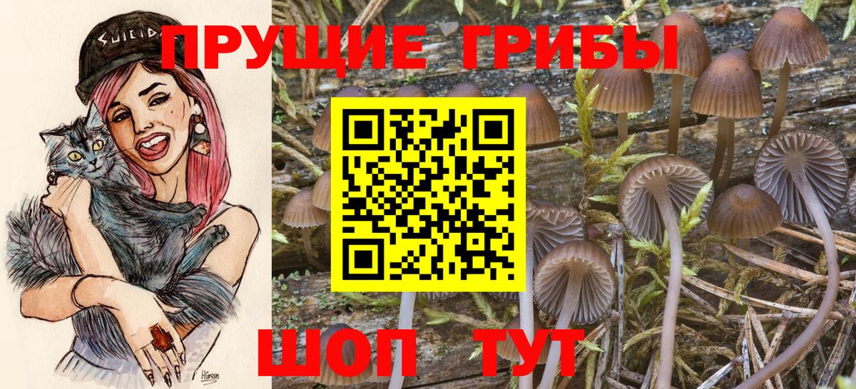 Нарткала  Псилоцибиновые грибы Psilocybine cubensis  Вход с VPN  Галлюциногенные грибы Psilocybe 